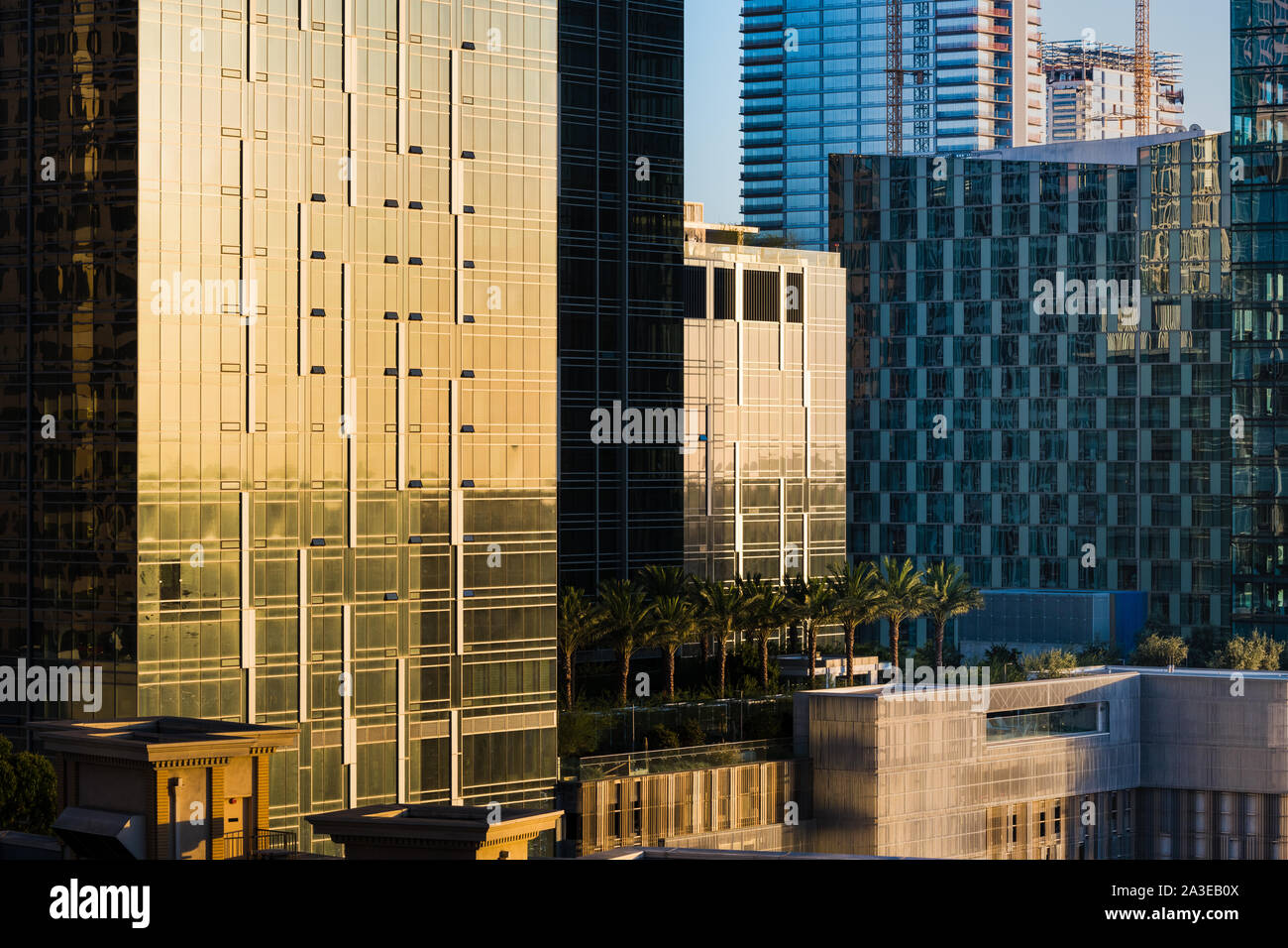 Dichte Stadtbild von neuen Stadtentwicklung in der Innenstadt von Los Angeles über eine Reihe von Palmen Stockfoto