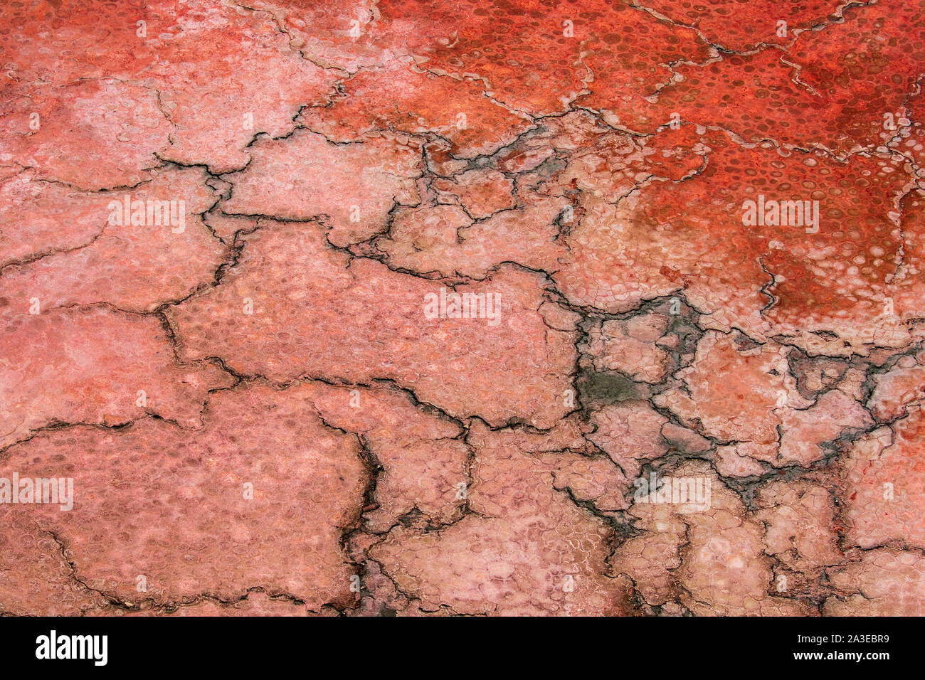 Afrika, Kenia, Magadi, Luftaufnahme der Muster der roten Algen und Salinen in Lake Magadi (verbesserte Kontrast und Farbe) Stockfoto