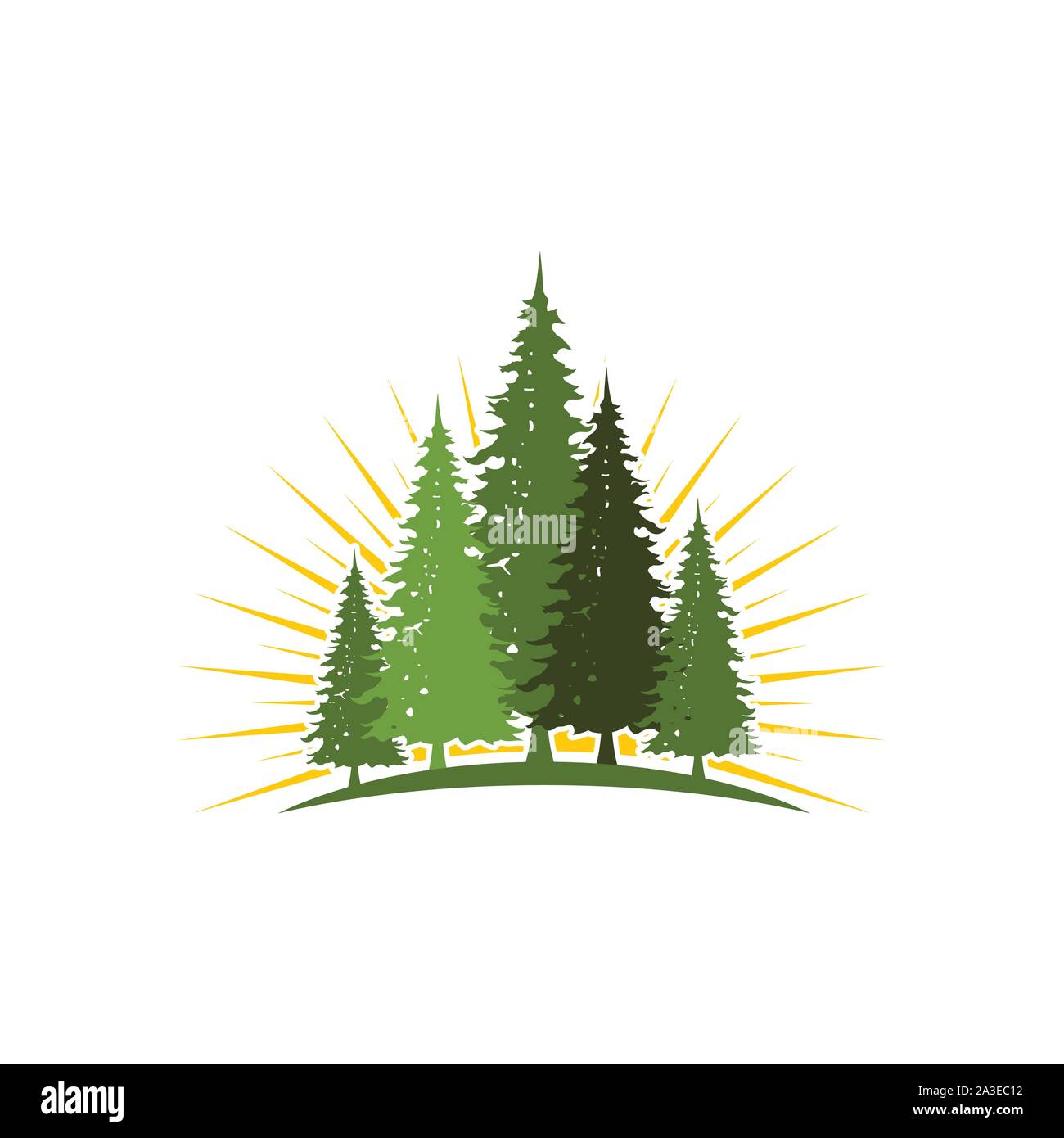 Cedar Tree Vektor icon Abbildung Design Template Stock Vektor