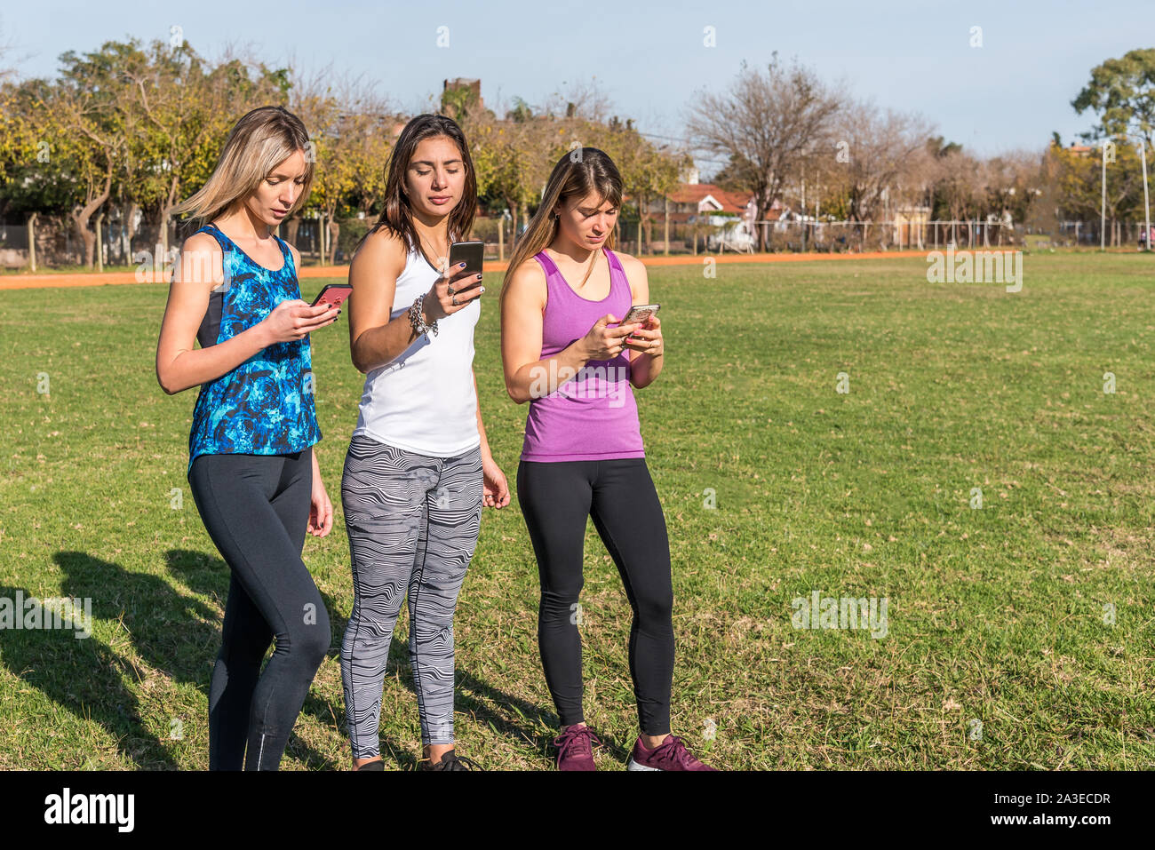 Gerne mit Freunden im Park an einem sonnigen Tag. Lifestyle Portrait von drei Frauen, die Freunde genießen schöner Tag mit ihren Smartphones. Stockfoto