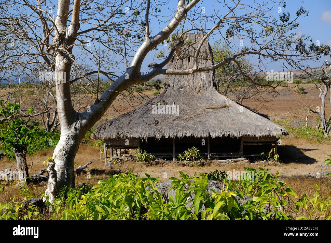 Indonesien Sumba Insel Sumbanesen erreichte Haus - uma mbatangu Stockfoto