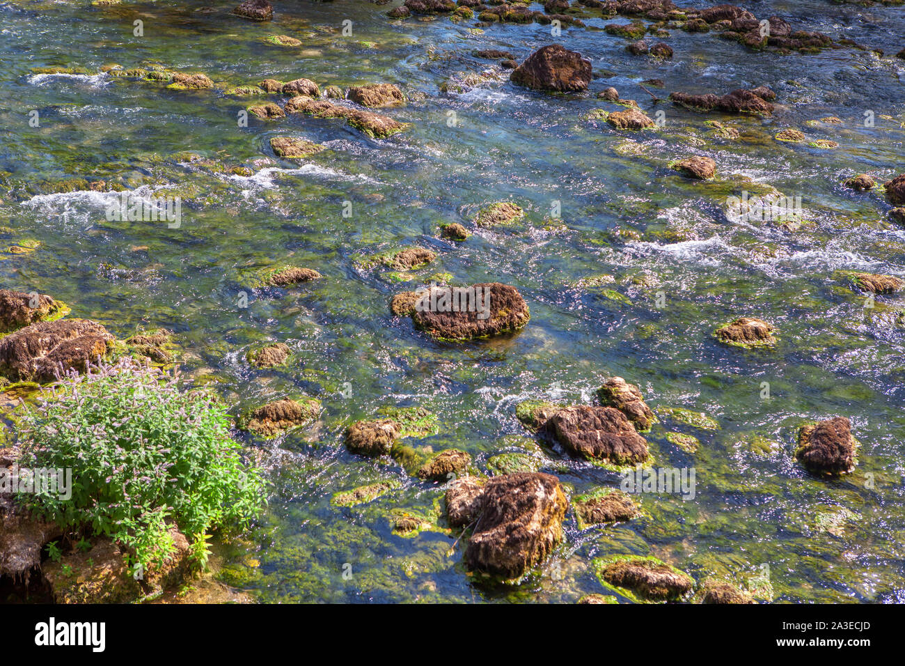 Steine im fließenden Wasser der mountain river Stockfoto
