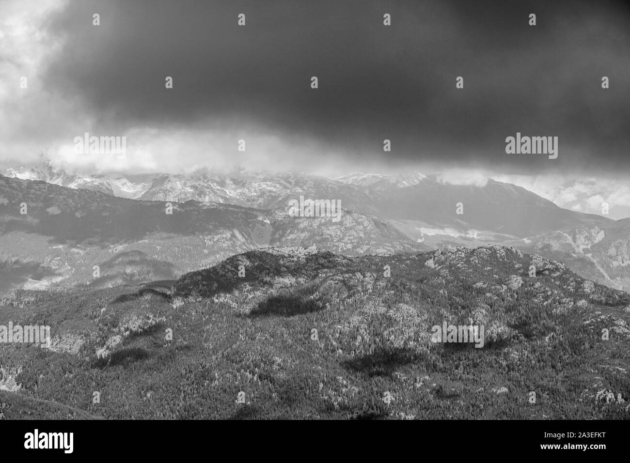 Vogel auf den Whistler Mountain am Morgen von oben. Stockfoto