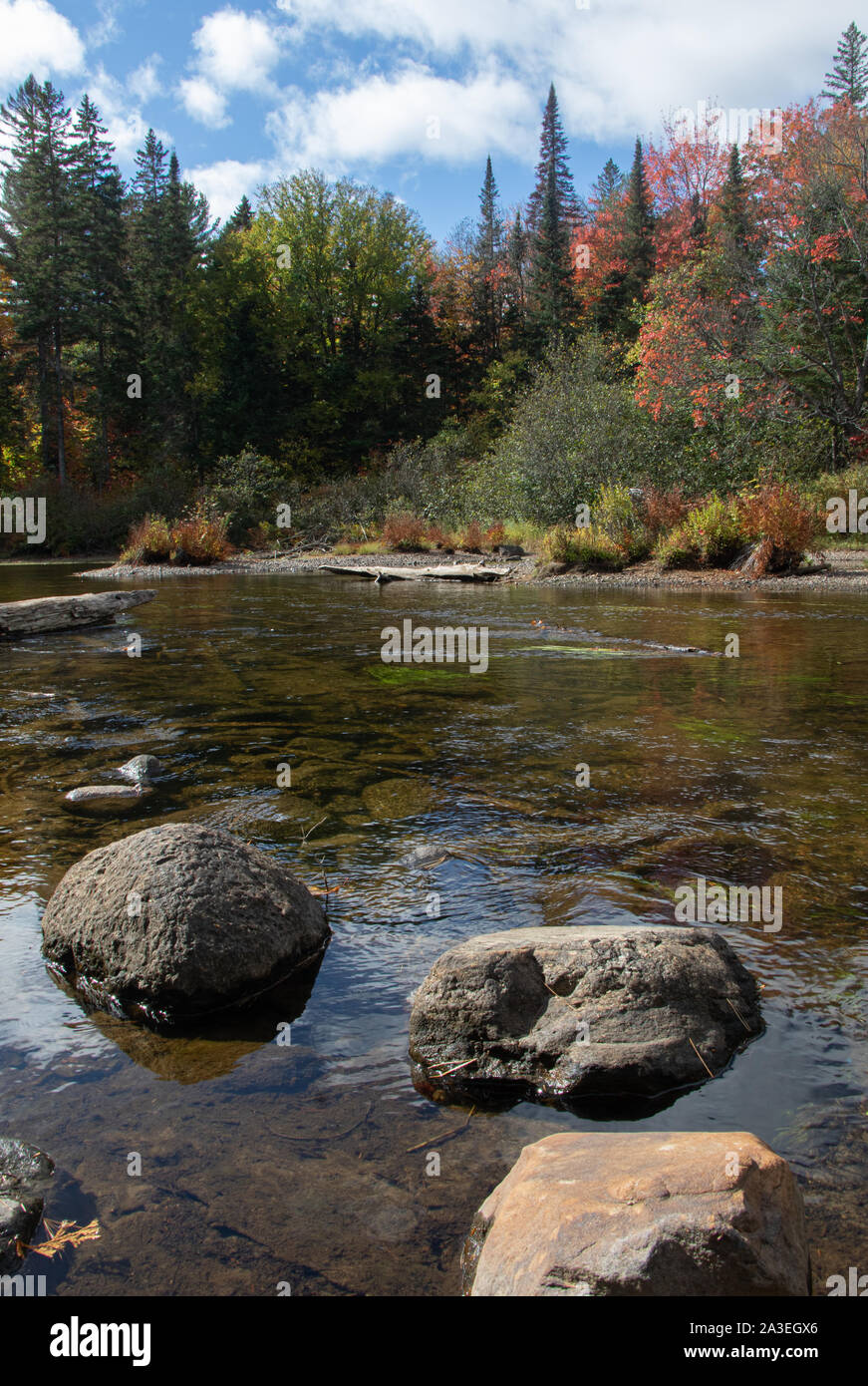 Steine bilden einen Pfad über den Barron River mit einem Hintergrund der Herbstfarben im Wald. Stockfoto