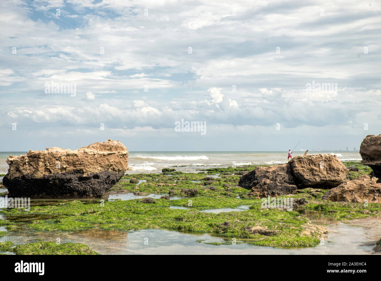Marine Landschaft in Argentinien Sea Shore Stockfoto