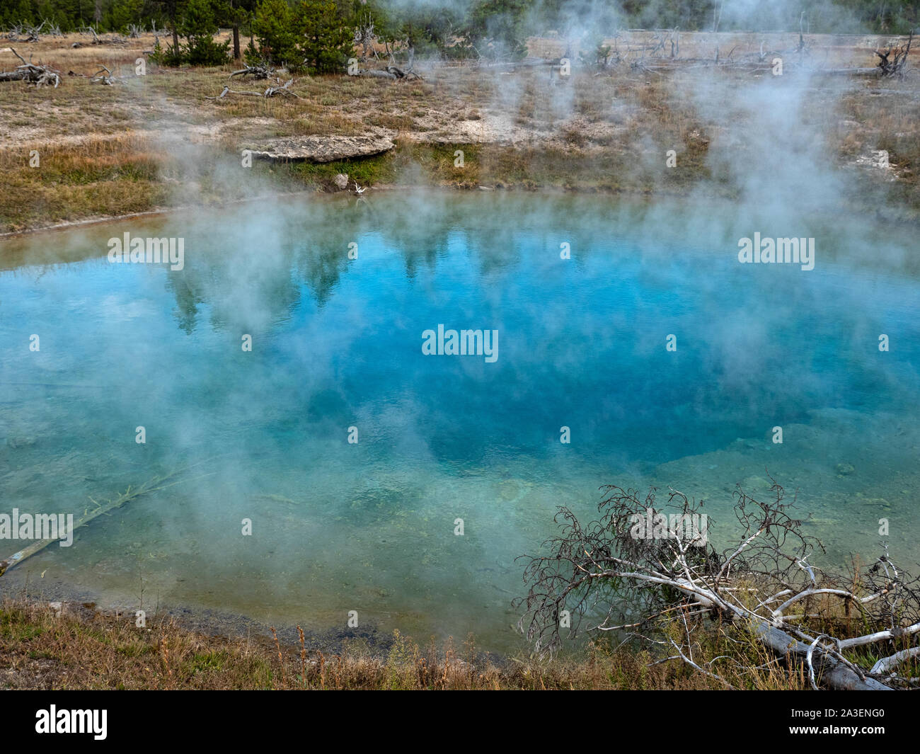 Hot Spring, Midway Geyser Basin, Yellowstone, Wyoming Stockfoto