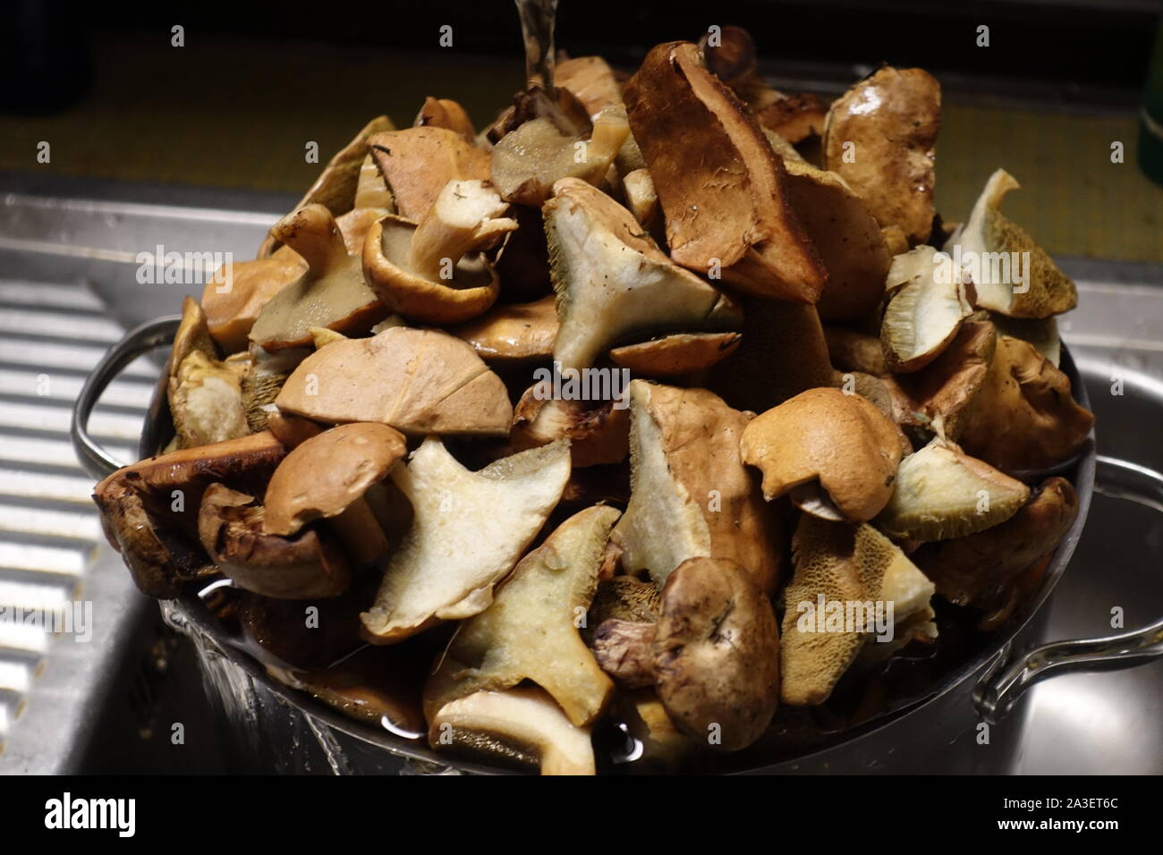 Pilze zubereiten Stockfoto