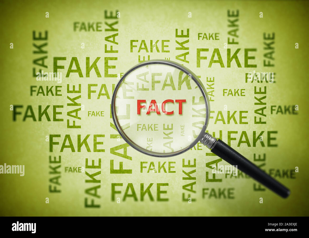 Lupe auf Rot, Text von gefälschten Worte. 3D-Darstellung. Stockfoto Lupe auf Rot, Text von gefälschten Worte. 3D-Darstellung. Stockfoto