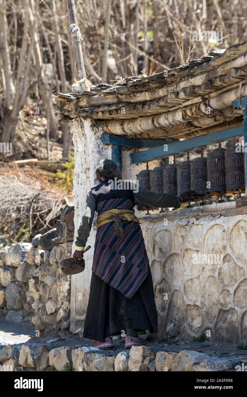 Eine alte Frau, die sich drehenden Gebetsmühlen in Jhong Dorf, Mustang, Nepal Stockfoto