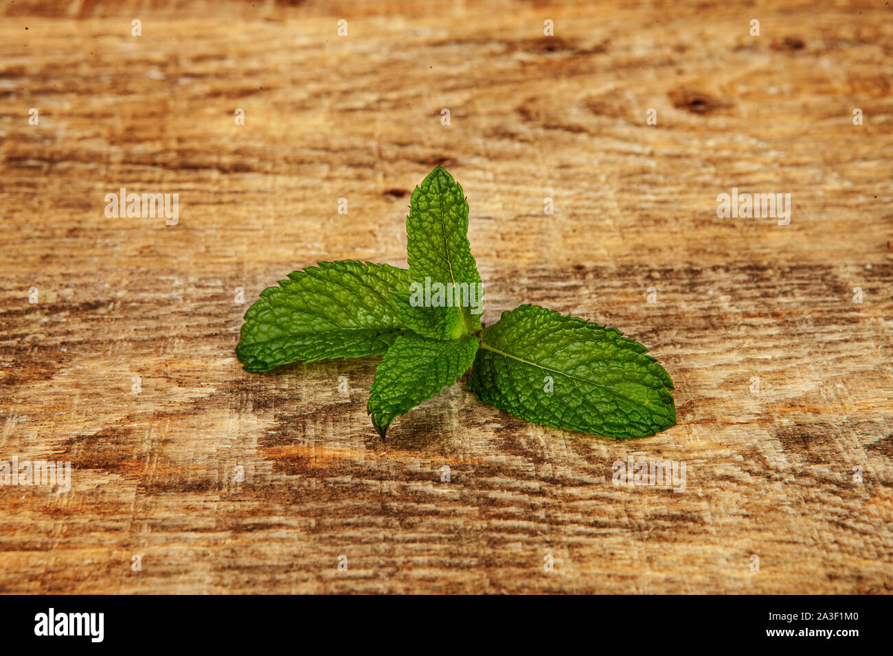 Einfache minzeblatt Schuß auf Holz Hintergrund. Einfache Minzeblatt auf weißem Hintergrund Stockfoto