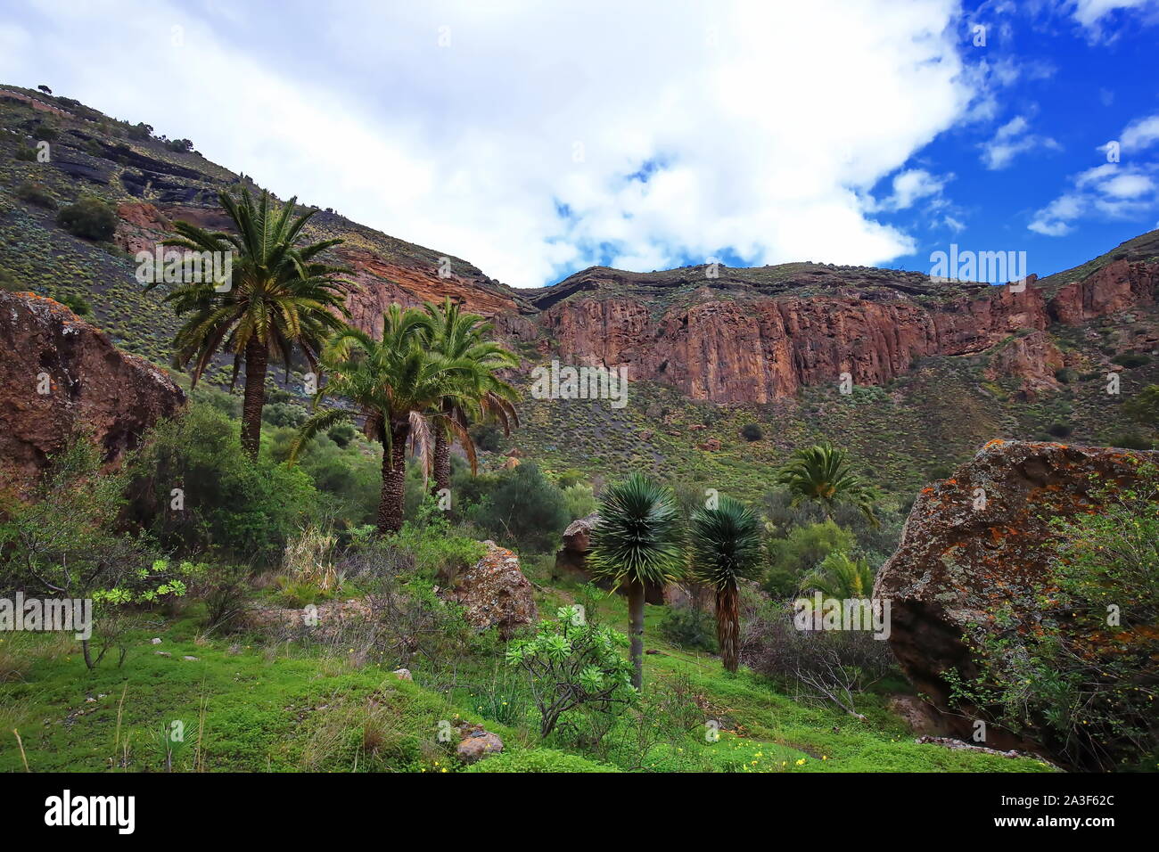 Bandama Krater ist ein erloschener Vulkan auf Gran Canaria Stockfoto