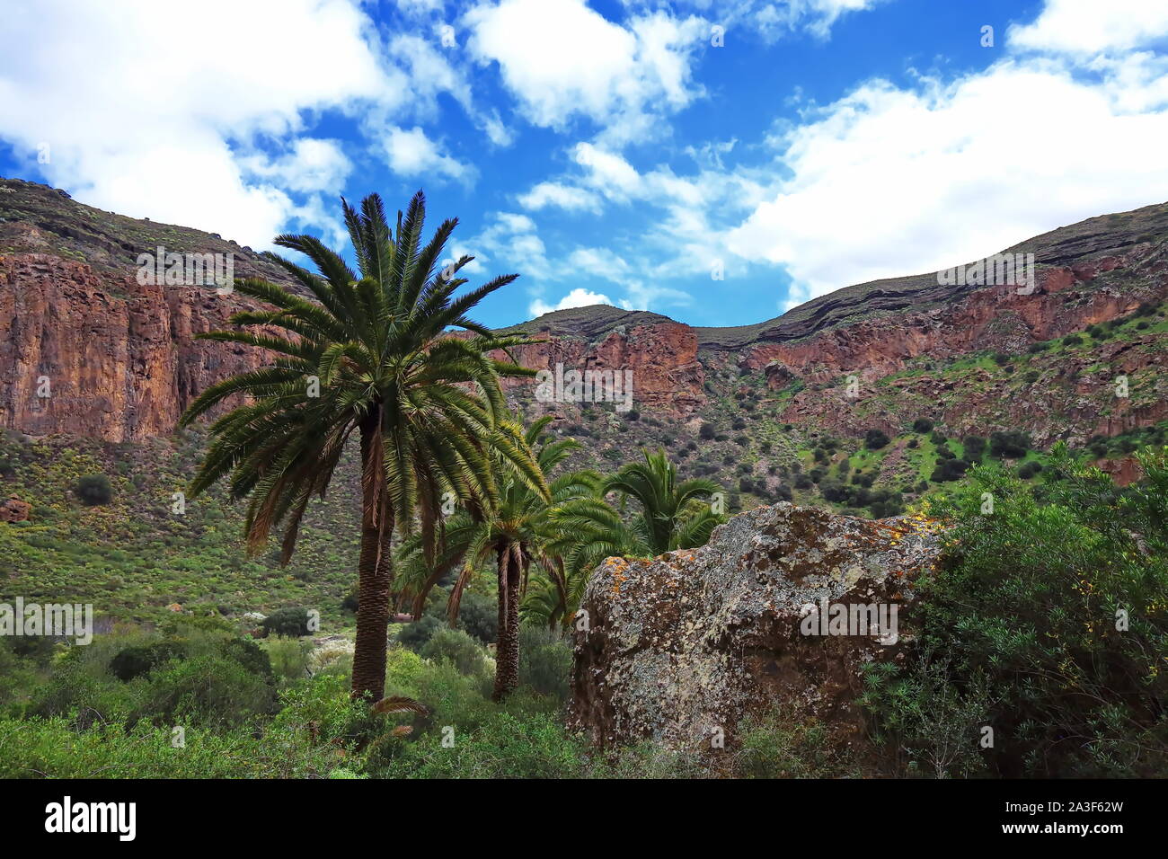 Bandama Krater ist ein erloschener Vulkan auf Gran Canaria Stockfoto