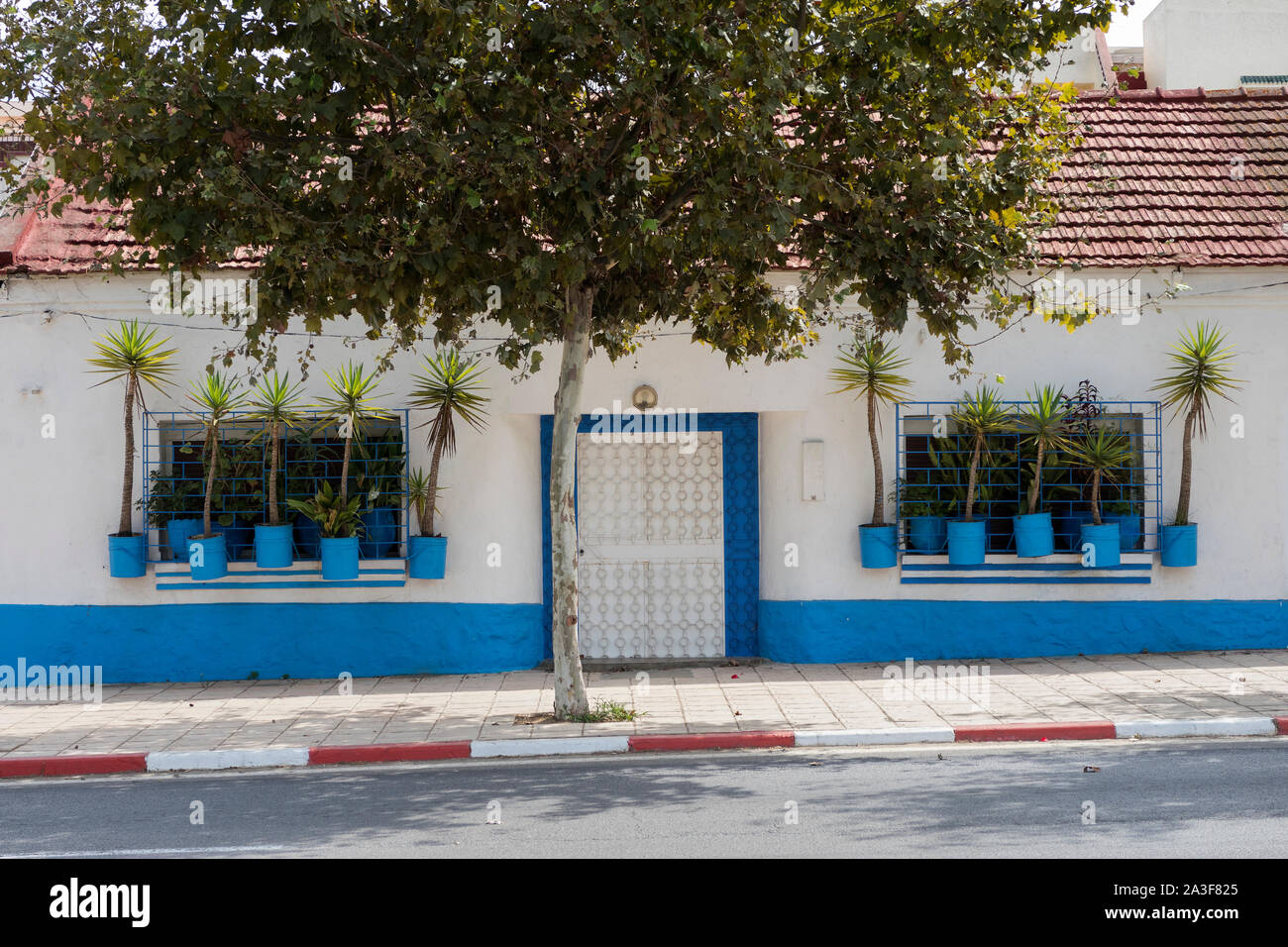 Fassade eines traditionellen Hauses mit Topfpflanzen in der Stadt Asilah, Nördliche Marokko Stockfoto