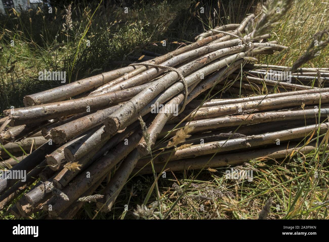 Bündel von Sticks oben gebunden mit Seil. Stockfoto