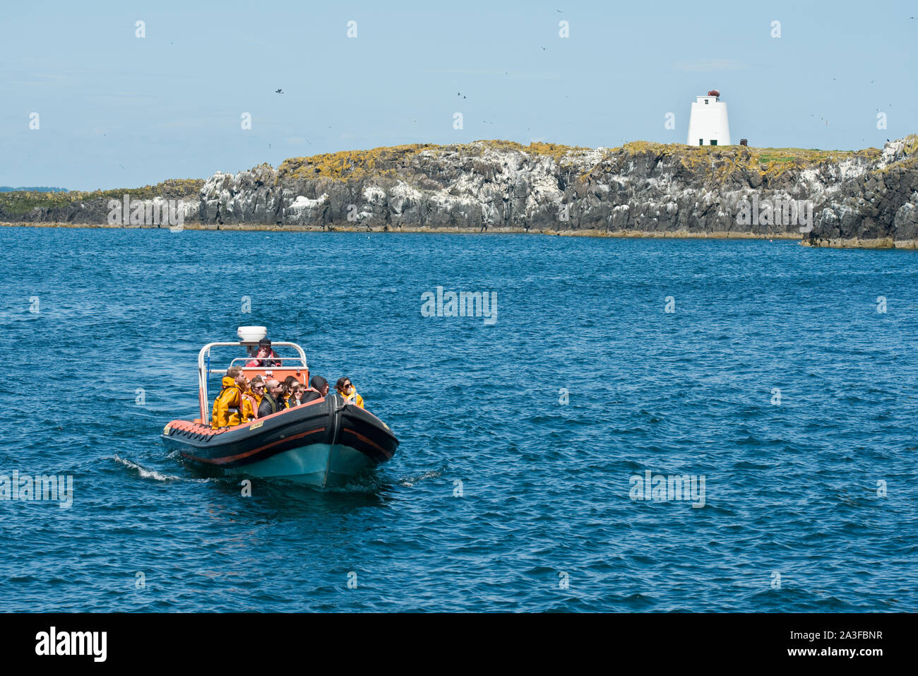 Schnelles Boot Kreuzfahrt Reise mit Tag Besucher auf die Insel. Fife, Schottland Stockfoto