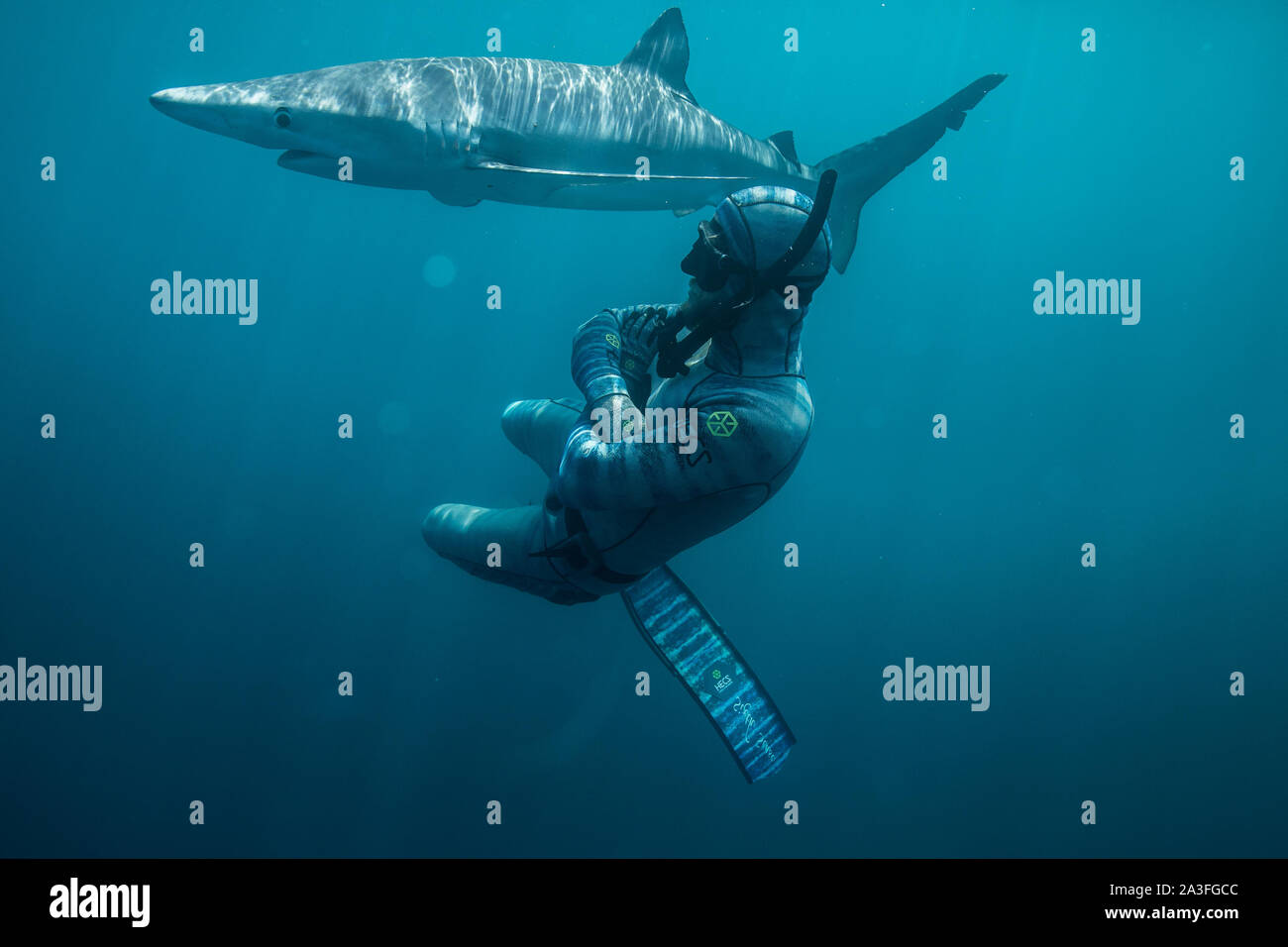 Neuseeland: Elliot posiert neben einer seiner geliebten Haie. Atemberaubende Aufnahmen fängt den Moment ein 12-Fuß-Shark Bites ein Boot in einem aggr Stockfoto