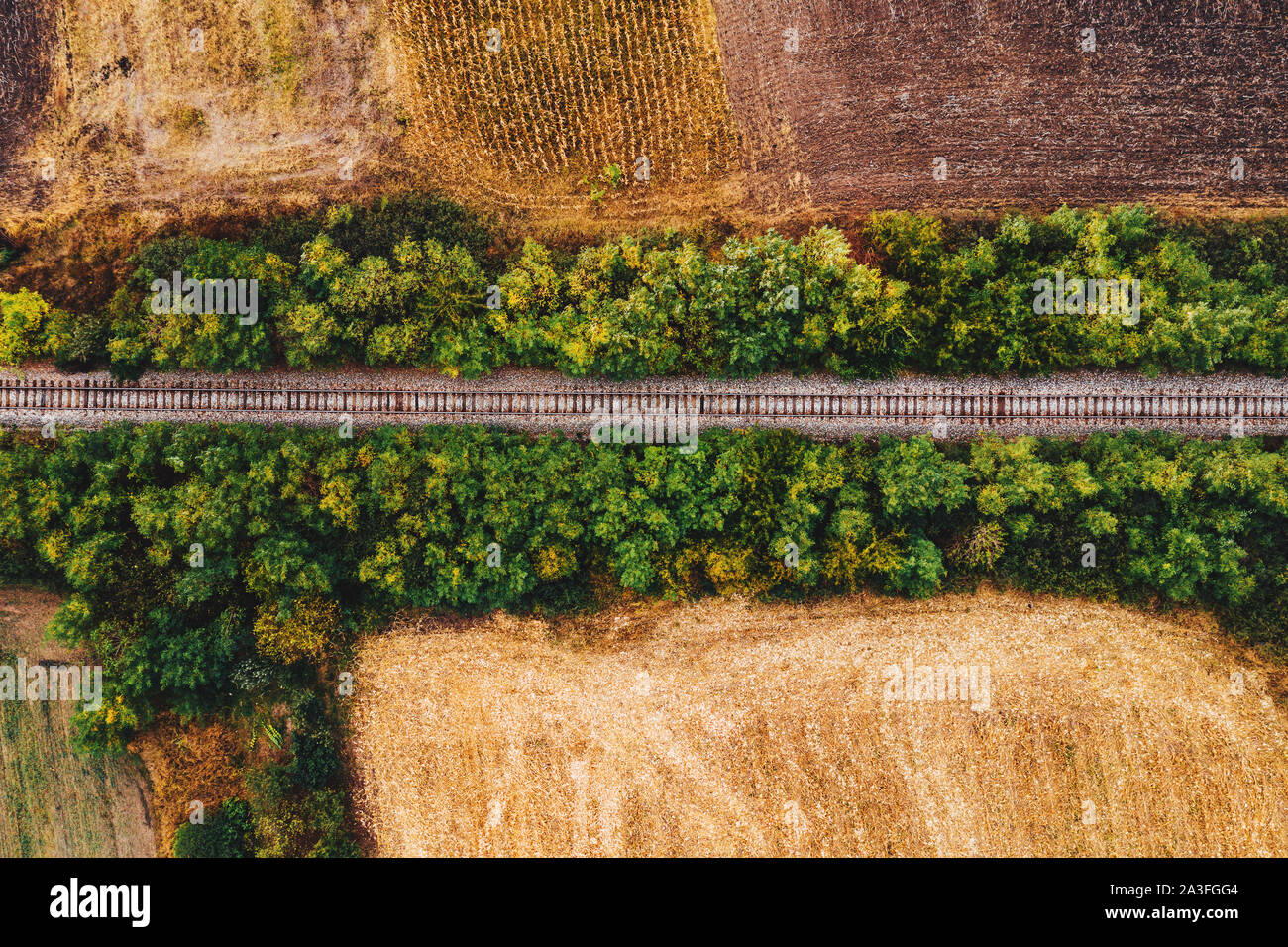 Alte Eisenbahn Spur durch die Landschaft im Herbst, Luftaufnahme von Drone pov Stockfoto