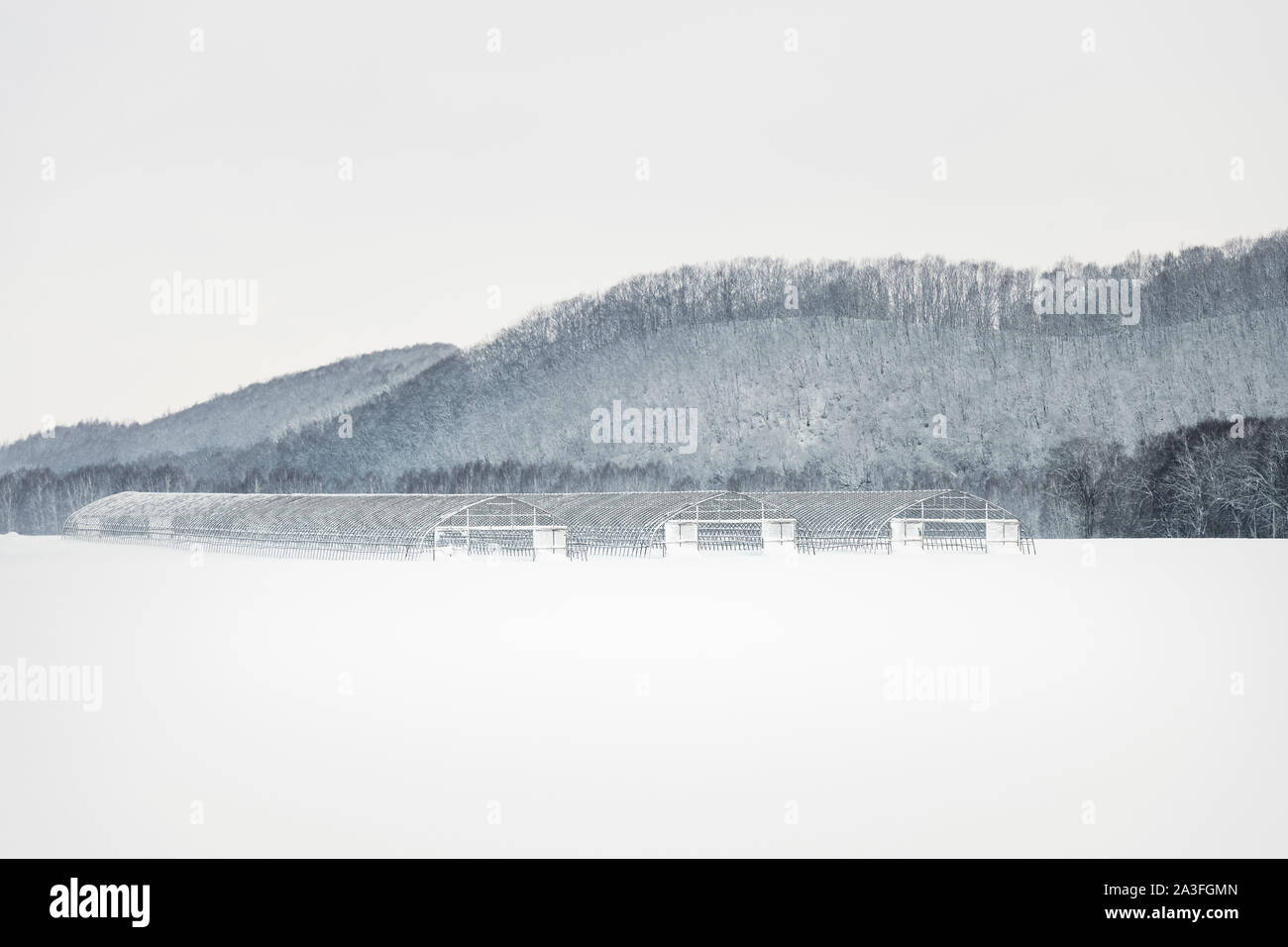 Gewächshaus im Winter Landschaft, Hokkaido, Japan Stockfoto
