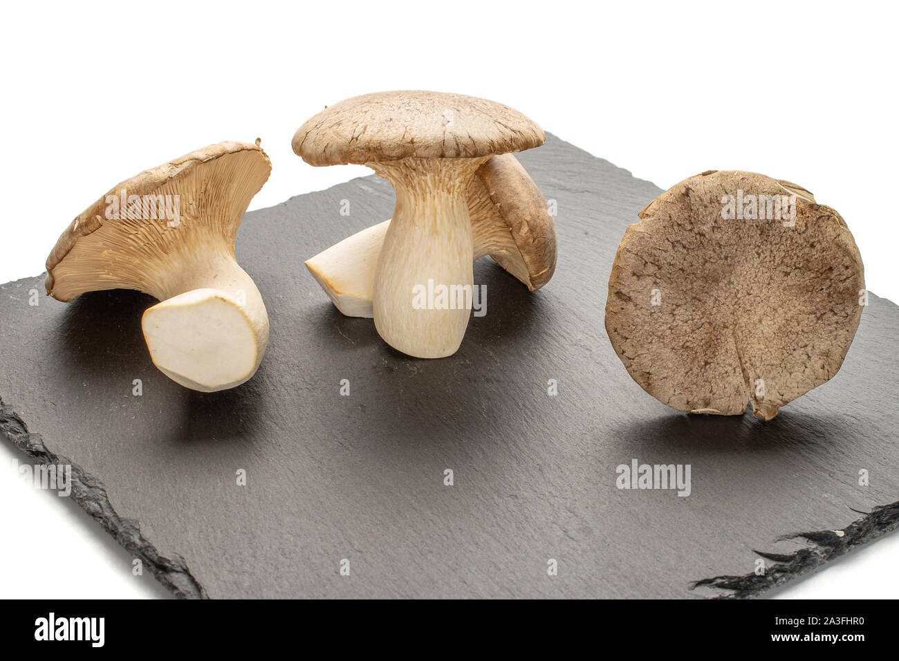 Gruppe von vier ganze frische, cremige König Trompete Pilz auf grauem Stein auf weißem Hintergrund Stockfoto