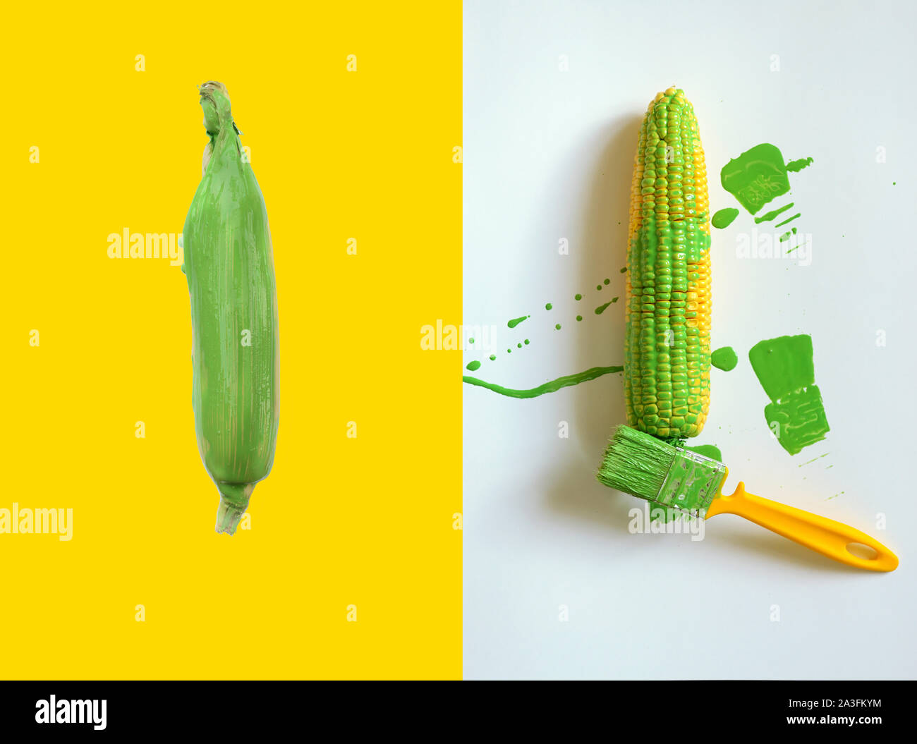 Mais ist mit Pinsel auf weißem Hintergrund gemalt. Idee essen Konzept Stockfoto