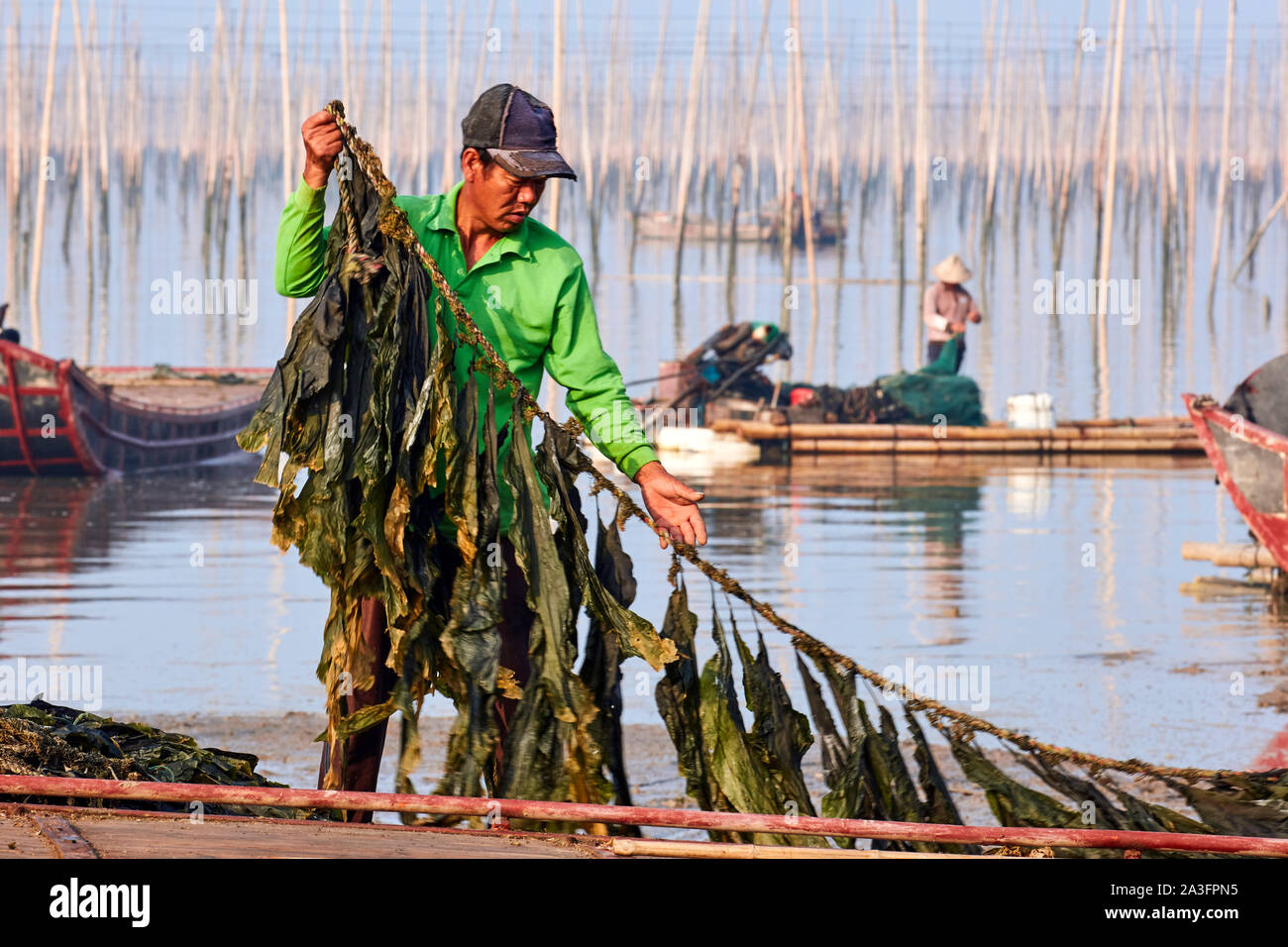 China fischer aqua Fotos und Bildmaterial in hoher Auflösung Alamy