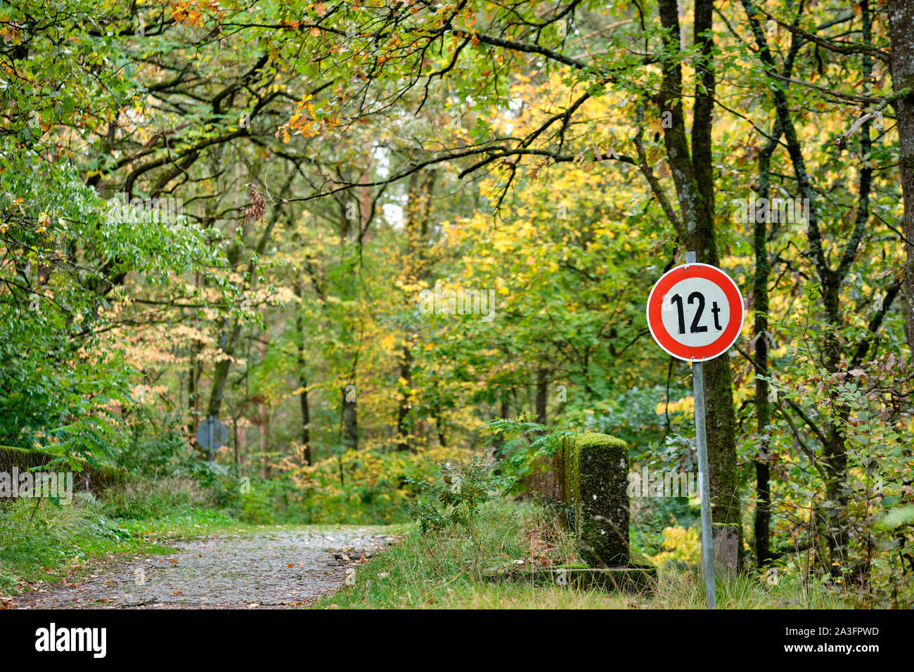 Eine alte bridgewith ein Zeichen informieren über ein Gewicht von 12 t in einem idyllischen Wald in Bayern, Deutschland im Oktober Stockfoto