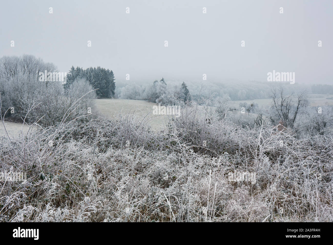 Winter ländliche Szene mit Rime Stockfoto