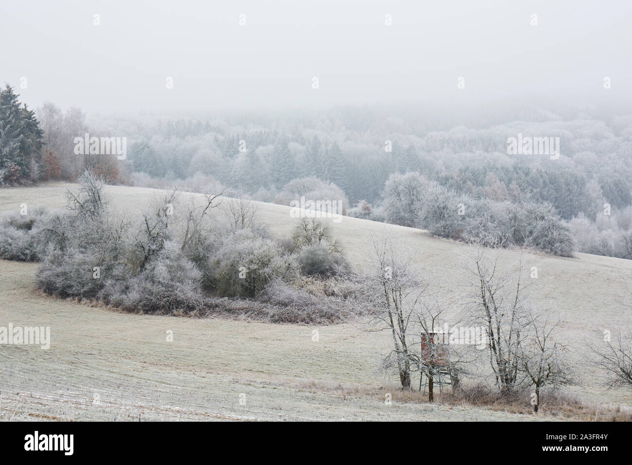 Winter ländliche Szene mit Rime Stockfoto