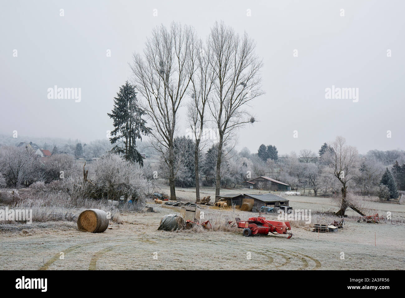 Winter Szene mit Bäumen und landwirtschaftlichen Maschinen Stockfoto