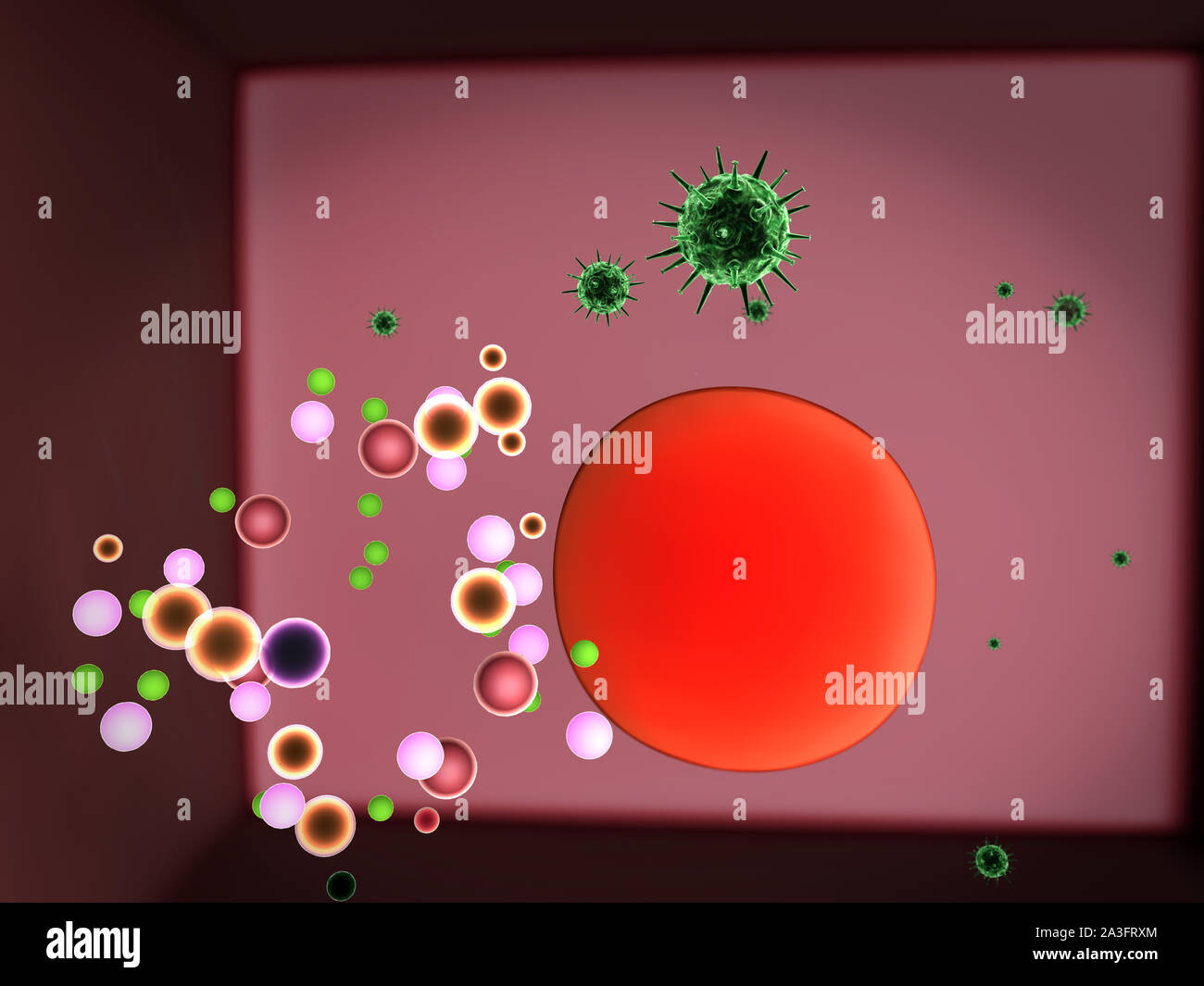 Die Vermehrung des Virus in die Zelle, die Vermehrung des Virus in die Leberzelle, Viren in die Zelle, Viren infizieren die Zelle, virus Angriff der Leberzellen Stockfoto