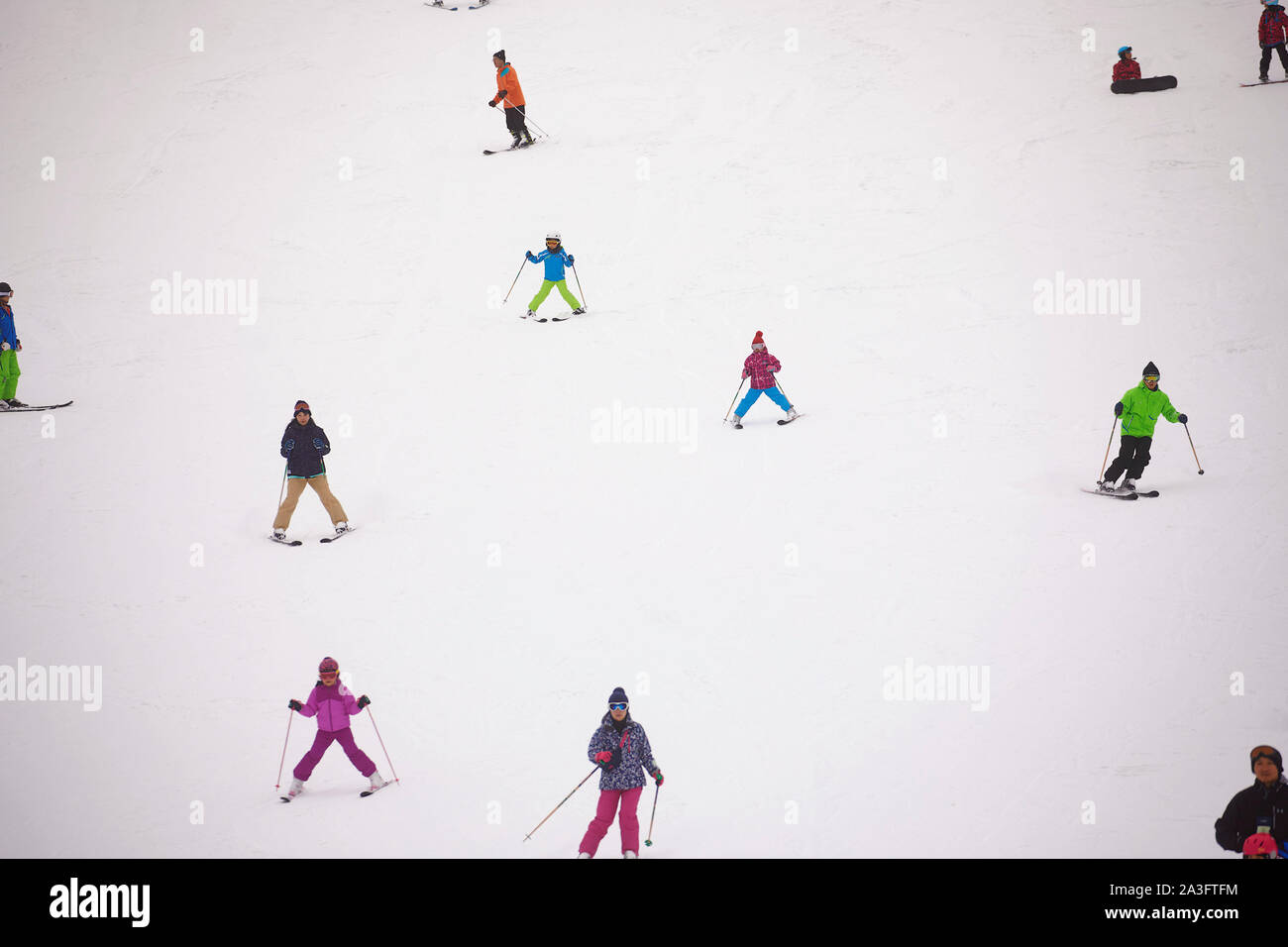 Japan Karuizawa Ski auf Schnee Kinder und Erwachsene 8-1 2018 Foto Jaco Klamer Stockfoto