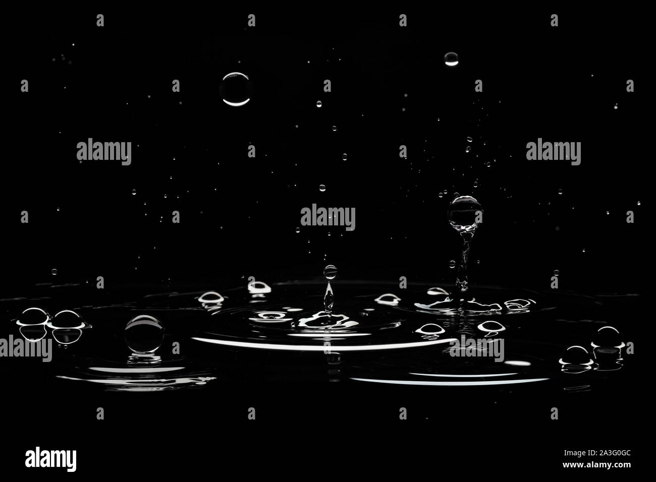 Brillante Tropfen Wasser auf schwarzem Hintergrund. Stockfoto