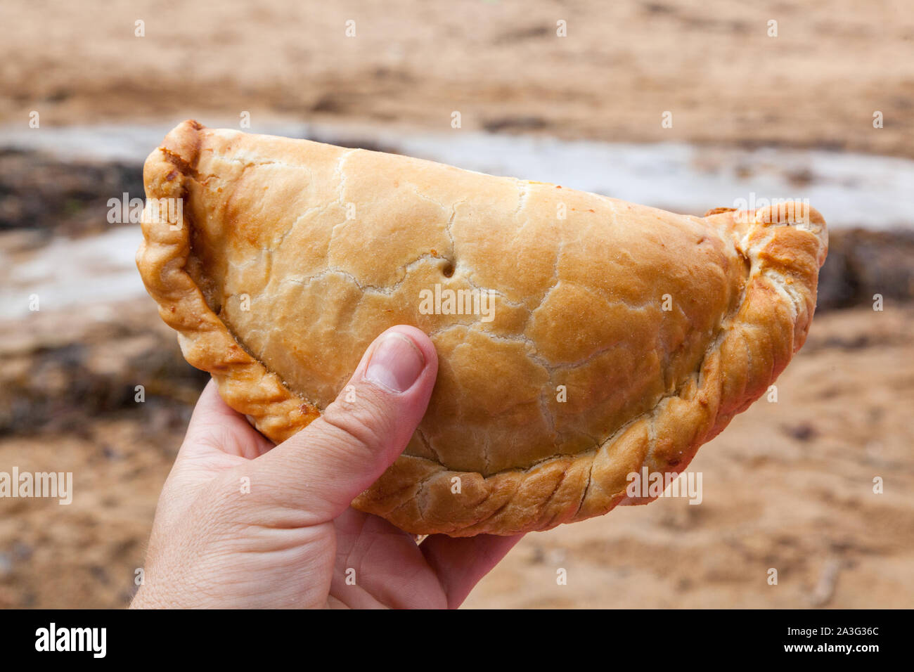 Großen Cornish Pasty, Hoffnung Cove Devon, England, Vereinigtes Königreich. Stockfoto