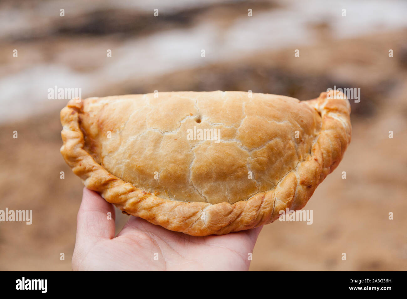 Großen Cornish Pasty, Hoffnung Cove Devon, England, Vereinigtes Königreich. Stockfoto