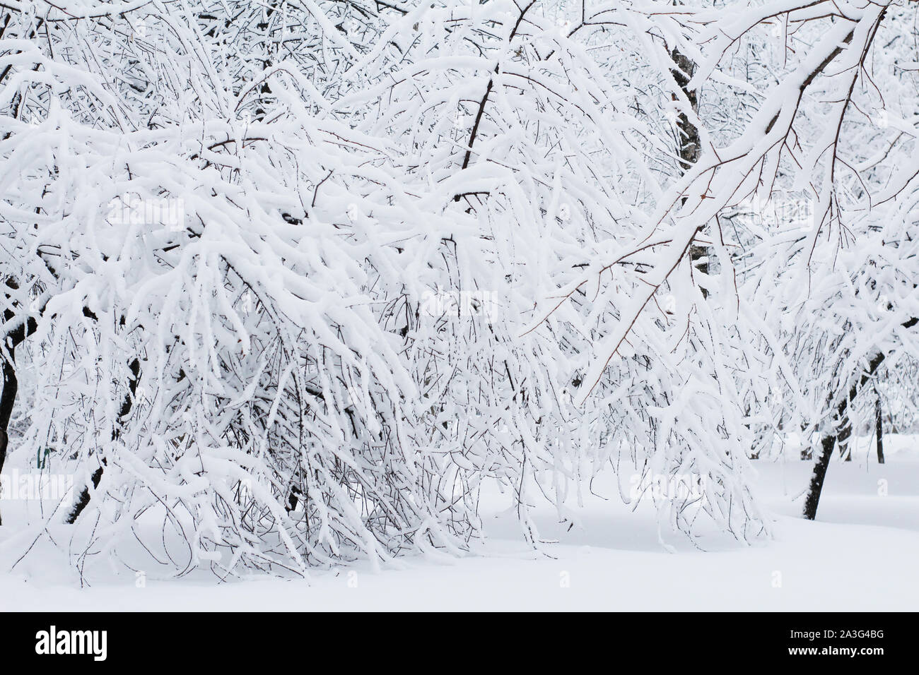 Snow White Snow White Tale Stockfotos & Snow White Snow White Tale