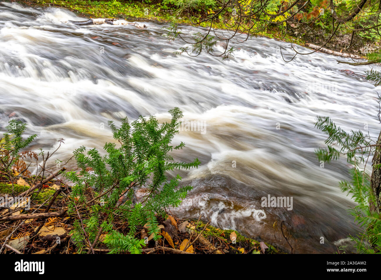 Rapids bei Konglomerat fällt in der Oberen Halbinsel von Michigan. Stockfoto