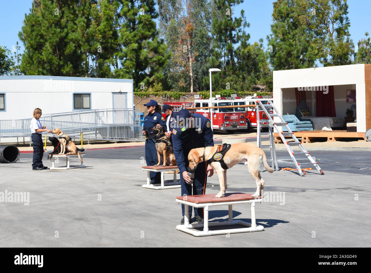 IRVINE, Kalifornien - 5 Okt 2019: Handler neigen dazu, ihre Suche und Rettung Hunde während der Orange County Fire Behörde open house. Stockfoto