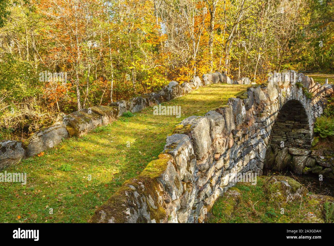 Altes Gewölbe Brücke über einen Fluss in einem Herbst Landschaft Stockfoto