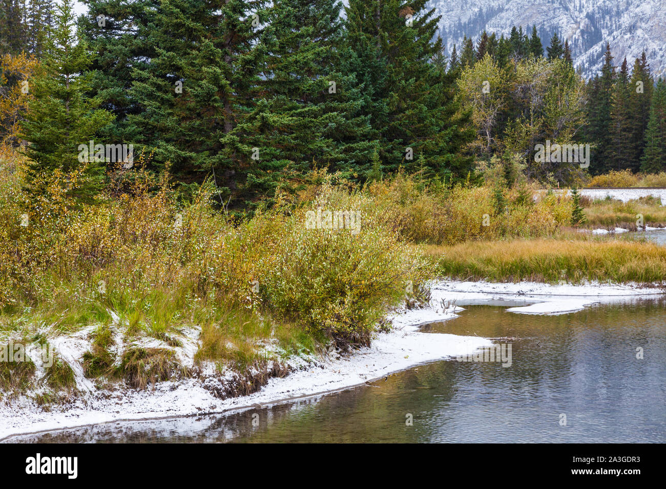 Herbst Szene entlang einer triburary des Bow River in der Stadt Banff, Alberta, Kanada Stockfoto