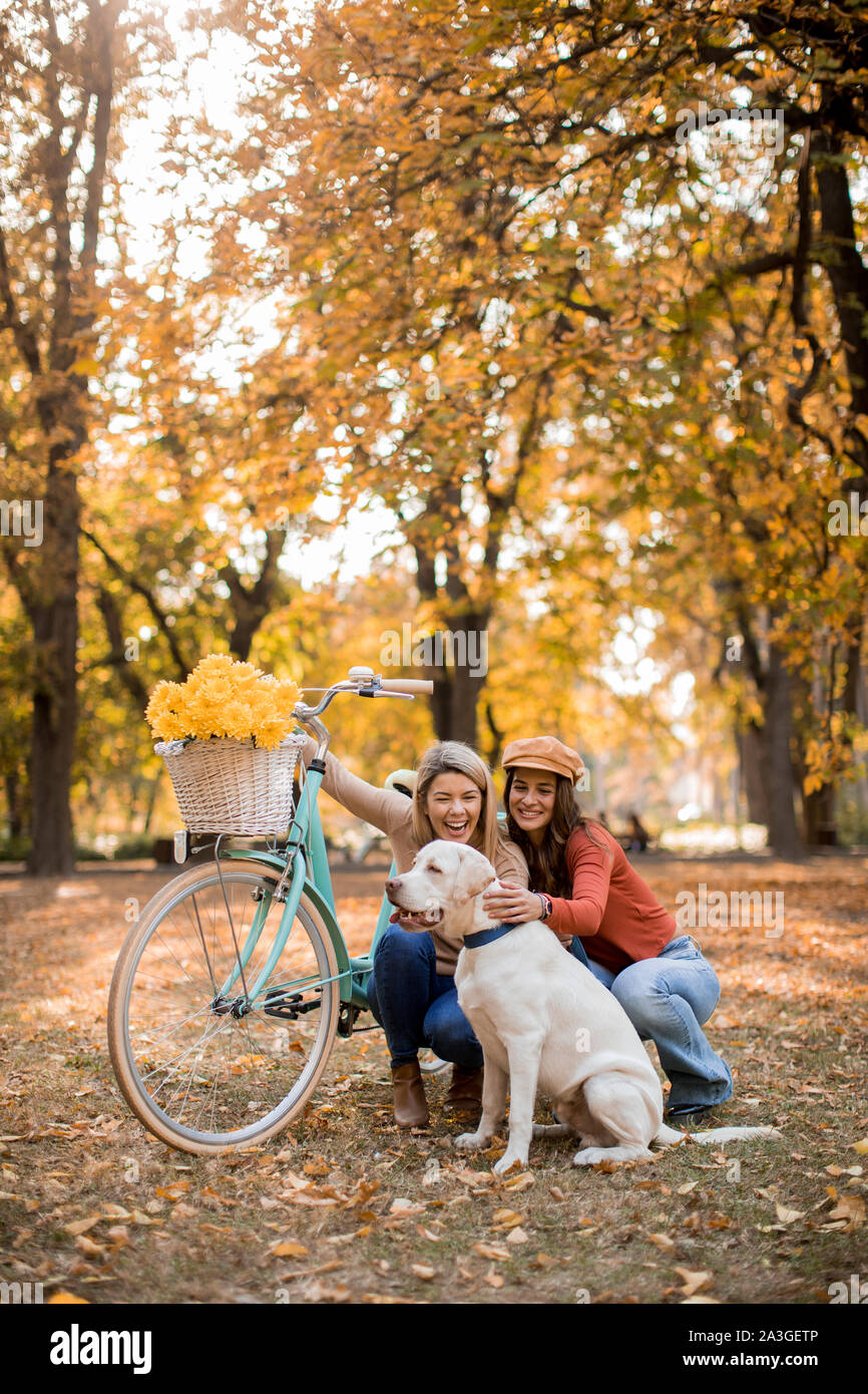 Zwei junge weibliche Freunde zu Fuß in den gelben Herbst park mit Hund und Fahrrad Stockfoto
