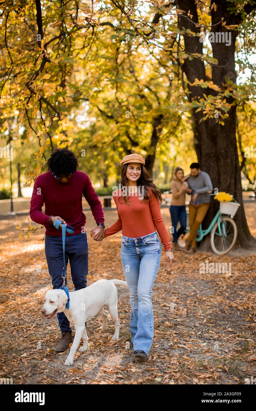 Multirassischen junges paar Wandern mit Hund im Herbst Park Stockfoto