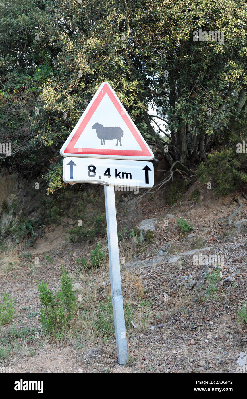 Gefahr Schild mit Form der Schafe auf der Straße Stockfoto