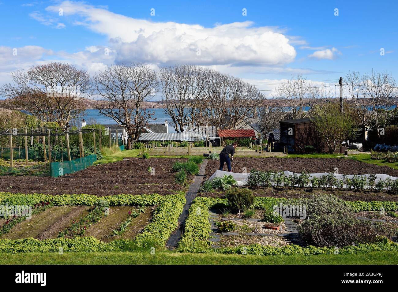 Vereinigtes Königreich, Schottland, Highland, Innere Hebriden, Isle of Iona gegenüber der Insel Mull, der Argyll Hotel organischen Garten im Vordergrund. Stockfoto