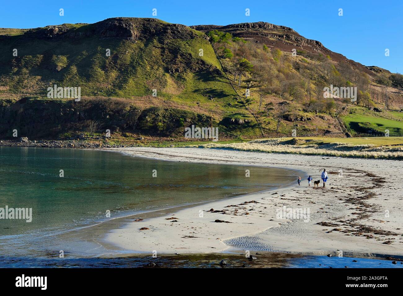 Vereinigtes Königreich, Schottland, Highland, Innere Hebriden, Isle of Mull, Calgary Bay Beach Stockfoto