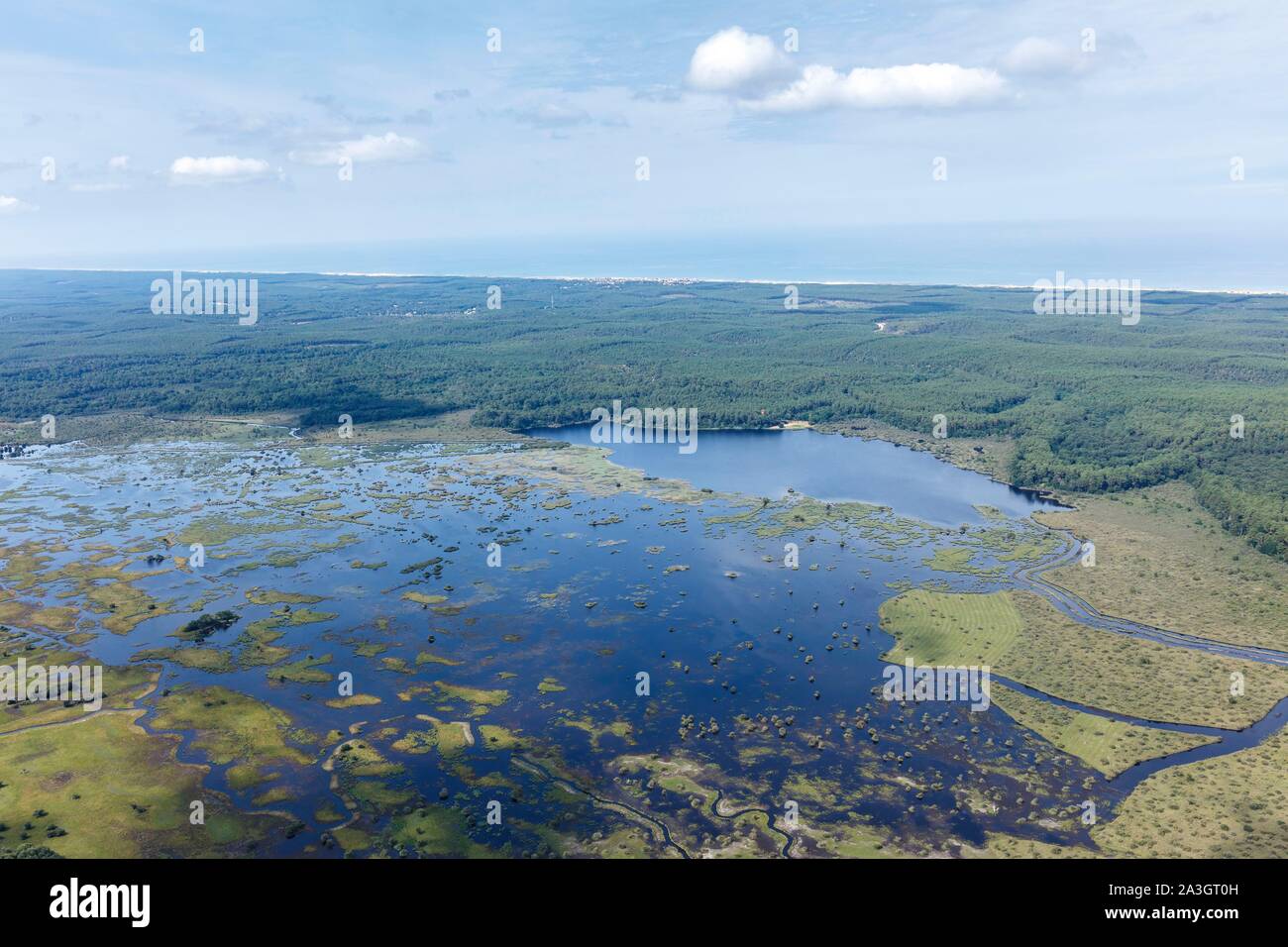 Frankreich, Gironde, Lacanau, Cousseau Teich Nature Reserve (Luftbild) Stockfoto