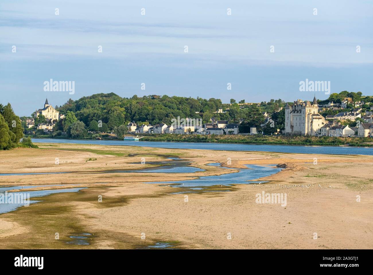 Frankreich, Maine-et-Loire, Loire Tal als Weltkulturerbe von der UNESCO, Montsoreau, beschriftet Les Plus beaux villages de France (Schönste Dörfer Frankreichs), Saint-Martin de Candes im Hintergrund Stiftskirche Stockfoto