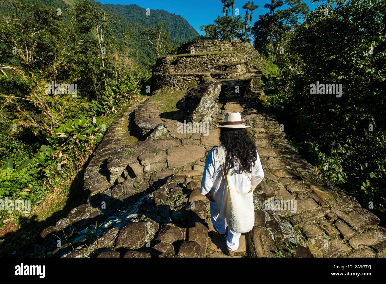 Kolumbien, Sierra Nevada de Santa Marta, Tayrona Park, Trek der verlorenen Stadt, eingetragenes Weltkulturerbe der UNESCO Stockfoto