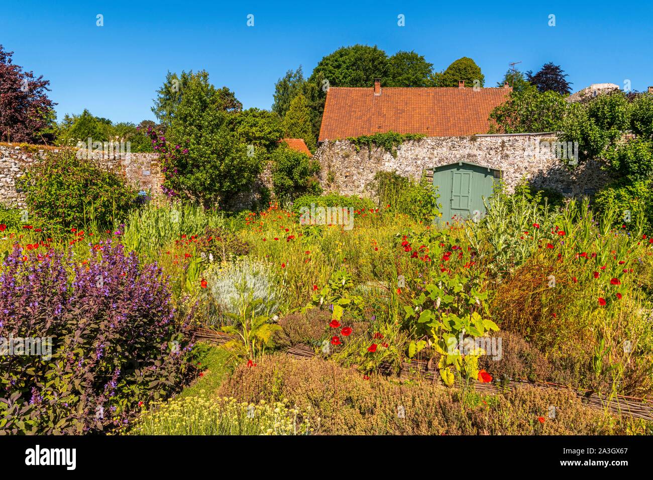 Frankreich, Somme, Somme Bay, Saint Valery sur Somme, das Herbarium ist der ehemalige Garten von den Nonnen des Krankenhaus heute restauriert und von einer Vereinigung, die pflegt Heilpflanzen, tinctoriales verwaltet, mittelalterliche; es ist Bemerkenswerter Garten eingestuft; es gibt viele Zitate, die zum Garten bezogen Stockfoto