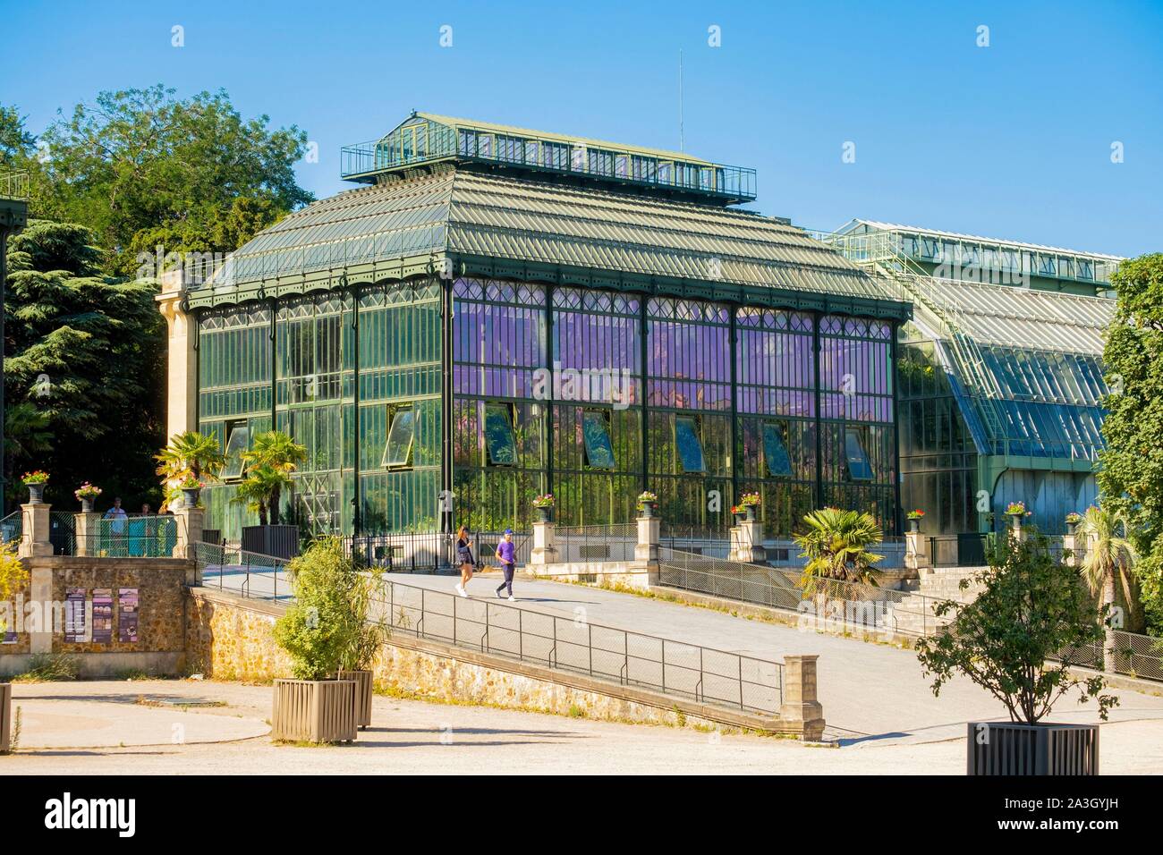 Frankreich, Paris, Jardin des Plantes, Gewächshäuser Stockfoto