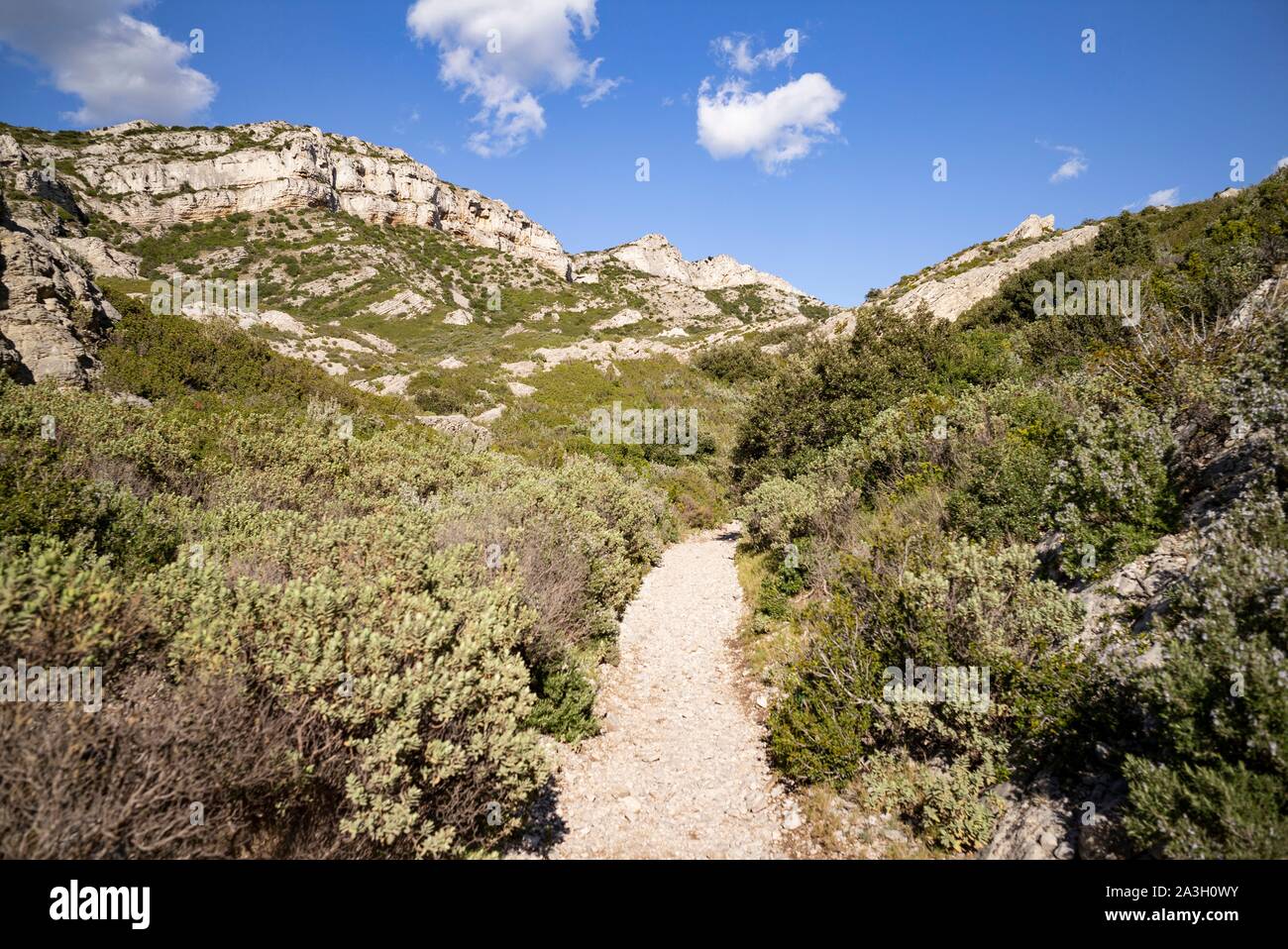 Frankreich, Bouche-du-Rhône, Aureille, Alpillen, Opies Tal Stockfoto